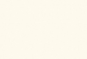 ЛДСП 2800-2070-25мм белый платиновый W980 ST2